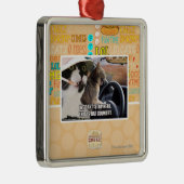 Schlägerland Silbernes Ornament (Rechts)