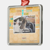 Schlägerland Silbernes Ornament (Links)