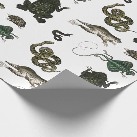 Schlagpapier für den Kern Geschenkpapier (Ecke)