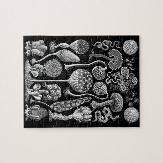 Schlamm-Formen in Schwarzweiss Puzzle (Horizontal)