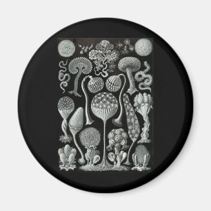 Schlamm-Formen Magnet