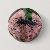 SchlammDauber ~ Knopf Button (Vorderseite)