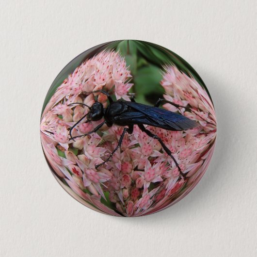 SchlammDauber ~ Knopf Button (Vorderseite)