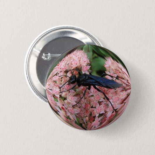 SchlammDauber ~ Knopf Button (Vorne & Hinten)