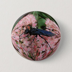 SchlammDauber ~ Knopf Button