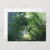 Schlammpfade führen Wälder durch Postkarte (Vorne/Hinten)