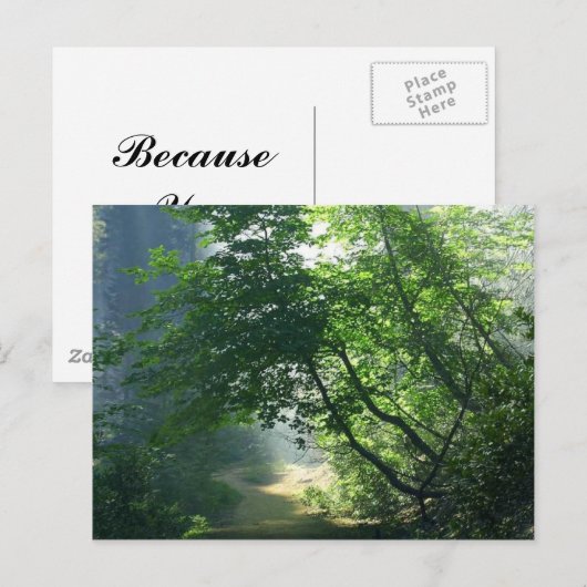 Schlammpfade führen Wälder durch Postkarte (Vorne/Hinten)