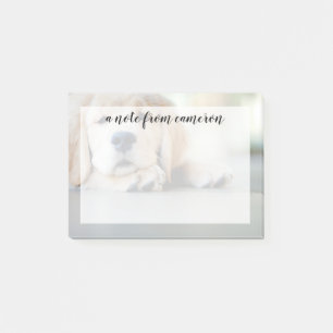 Schlampe, Golden Retriever Welpe Post-it Klebezettel