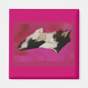 Schlampe Kitten in Pink Magnet