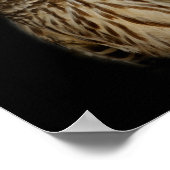 Schlampe Owl Print Poster (Ecke)