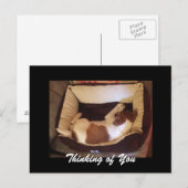 Schlampe Welpe - Denken Sie an Sie Postkarte (Vorne/Hinten)