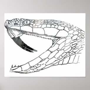 Schlange 6.png poster