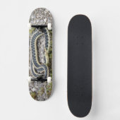 Schlange 7¾" Skateboard (Vorderseite)