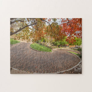 Schlange Alley in Burlington, Iowa. Puzzle