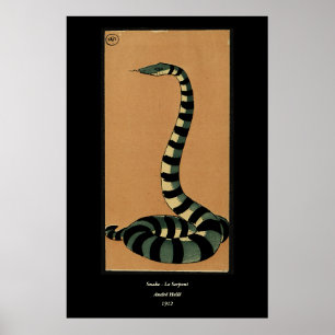 Schlange - Antike, farbenfrohe BuchIllustration Poster