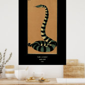 Schlange - Antike, farbenfrohe BuchIllustration Poster (Küche)