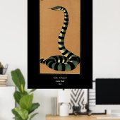 Schlange - Antike, farbenfrohe BuchIllustration Poster (Heimbüro)