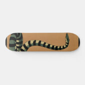 Schlange - Antike, farbenfrohe BuchIllustration Skateboard (Horizontal)