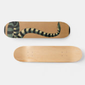 Schlange - Antike, farbenfrohe BuchIllustration Skateboard (Horizontal)