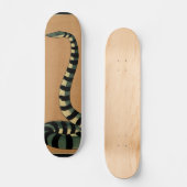 Schlange - Antike, farbenfrohe BuchIllustration Skateboard (Vorderseite)