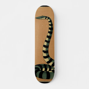 Schlange - Antike, farbenfrohe BuchIllustration Skateboard