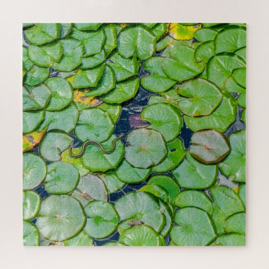 Schlange auf den Lily Pads Puzzle (Horizontal)