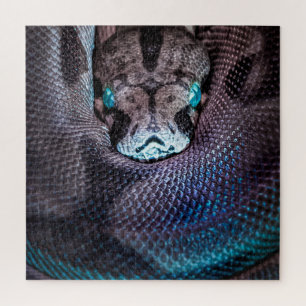 Schlange Boa Anaconda Python Reptil Snakeskin Puzzle