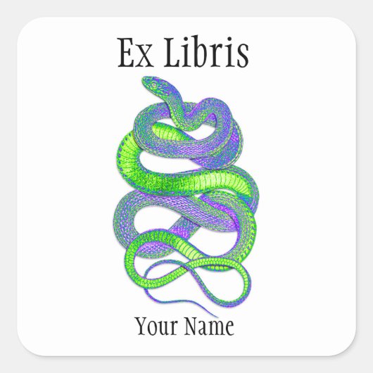 Schlange Ex Libris Buchzeichen, benutzerdefinierba Quadratischer Aufkleber (Vorderseite)