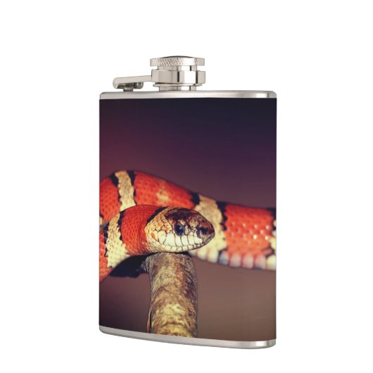 Schlange Flachmann (Links)