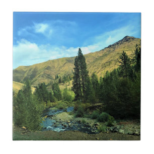 Schlange Fluss, Landkreis Wallowa, Oregon Fliese