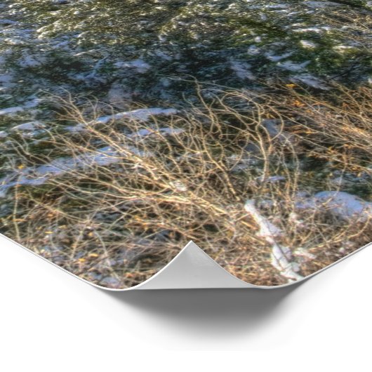 Schlange Fluss pano___HDR. Poster (Ecke)