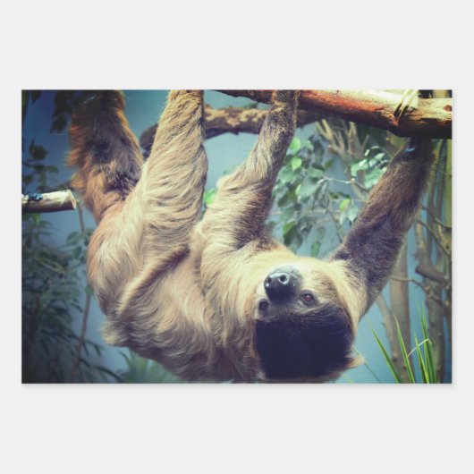 Schlange Geschenkpapier Set (Vorderseite 3)