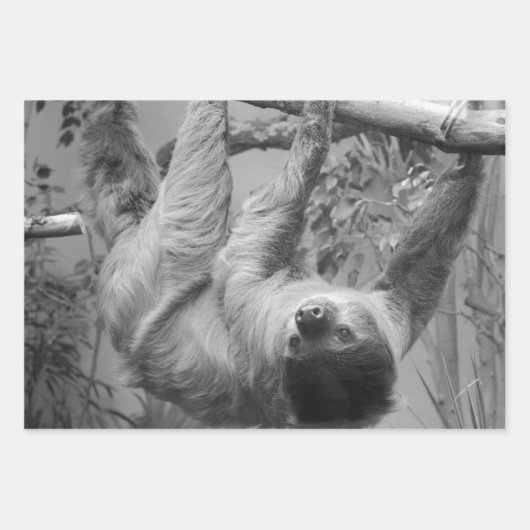 Schlange Geschenkpapier Set (Vorderseite 2)