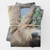 Schlange Geschenkpapier Set (Beispiel)