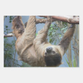 Schlange Geschenkpapier Set (Vorderseite)