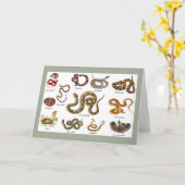 Schlange Grußkarte Karte (Gelbe Blume)