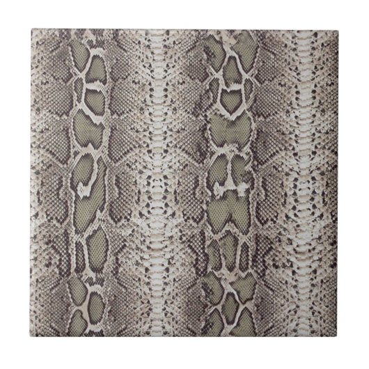 Schlange Hautfarbe Fliese (Vorderseite)