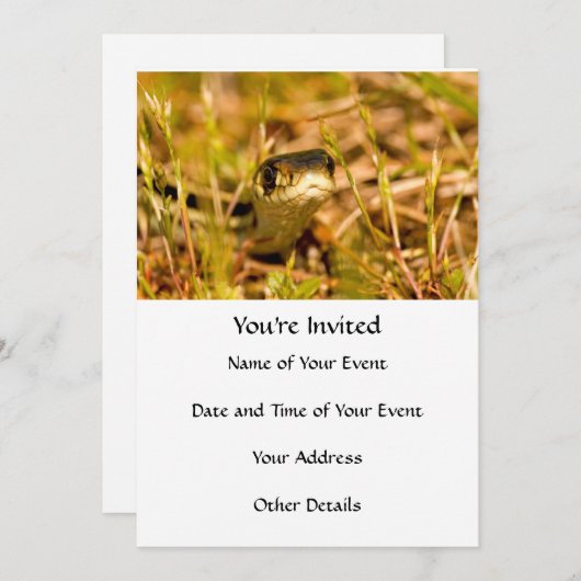 Schlange im Gras Einladung (Vorne/Hinten)