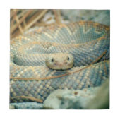 Schlange Keramik Tile Fliese (Vorderseite)