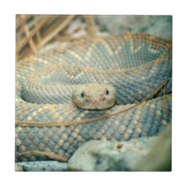 Schlange Keramik Tile Fliese