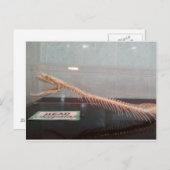 Schlange Kopf Skeleton Postkarte (Vorne/Hinten)