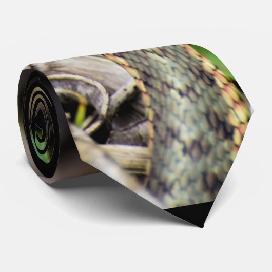 Schlange Krawatte (Gerollt)