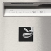 Schlange Magnet (In Situ (Geschirrspüler))