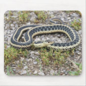 Schlange Mousepad (Vorne)