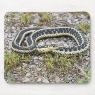Schlange Mousepad