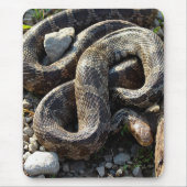 Schlange Mousepad (Vorne)