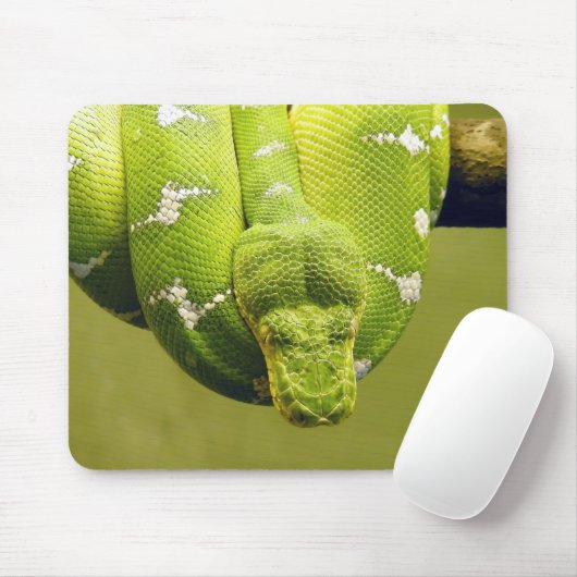 Schlange Mousepad (Mit Mouse)