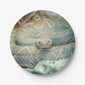 Schlange Pappteller (Vorderseite)