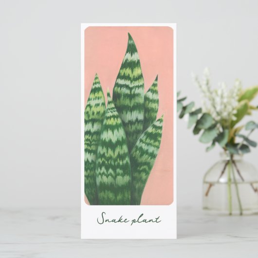 Schlange Pflanze Gouache Illustrationskarte (Stehend Vorderseite)