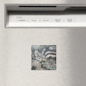 Schlange (Pituophis catenifer sayi) Magnet (In Situ (Geschirrspüler))